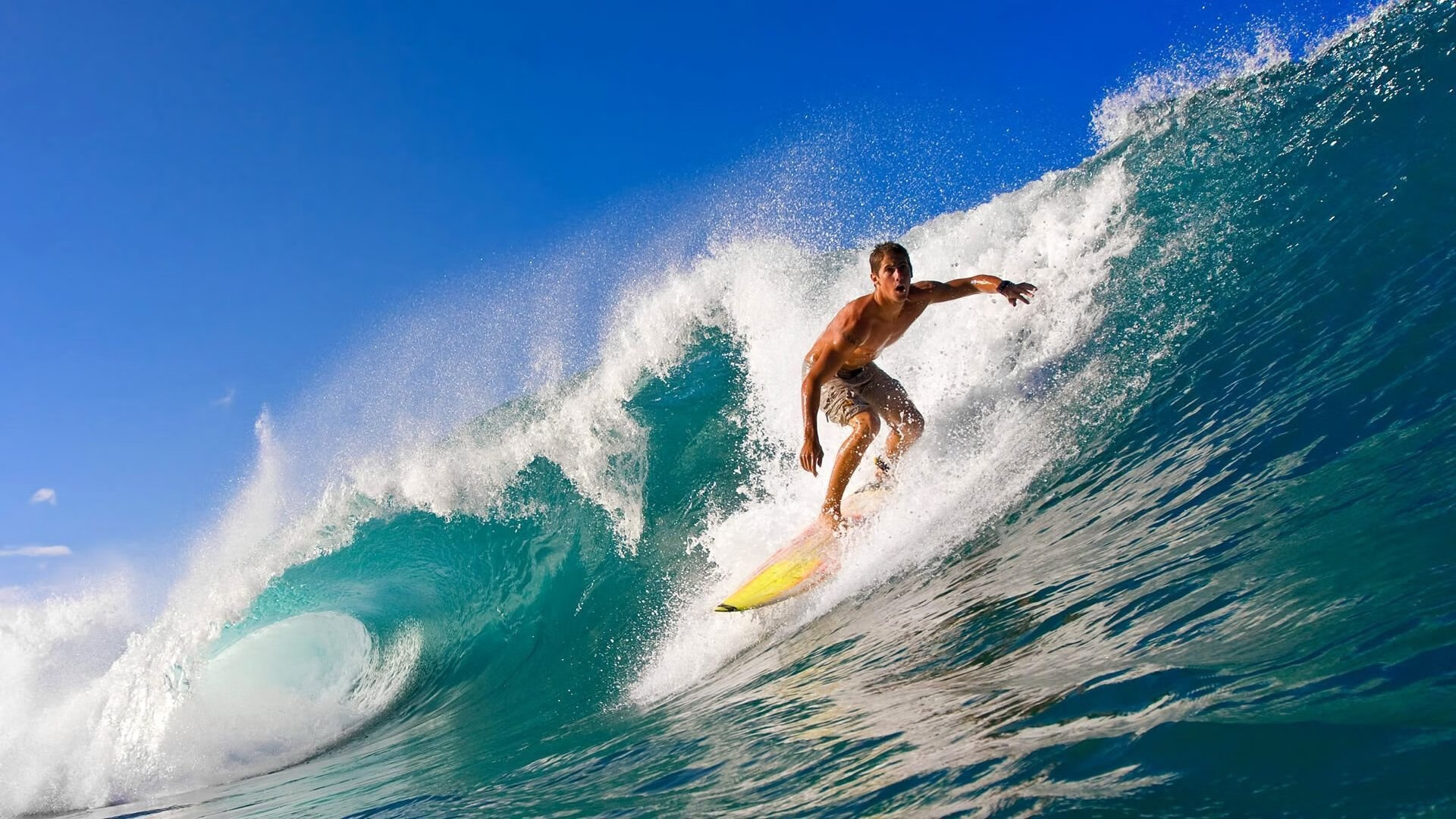 意大利马术协会推出马术运动员健康管理系统,关注运动员身心健康。